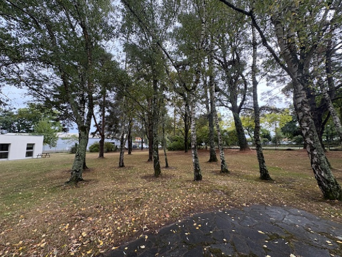 Photo 15 – location bureaux	VERTOU (44120)