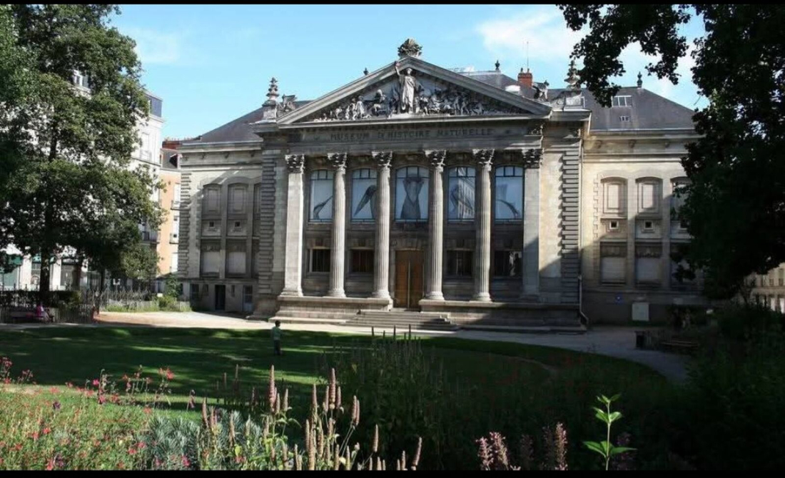 Photo 5 – location Local commercial	NANTES (44000)